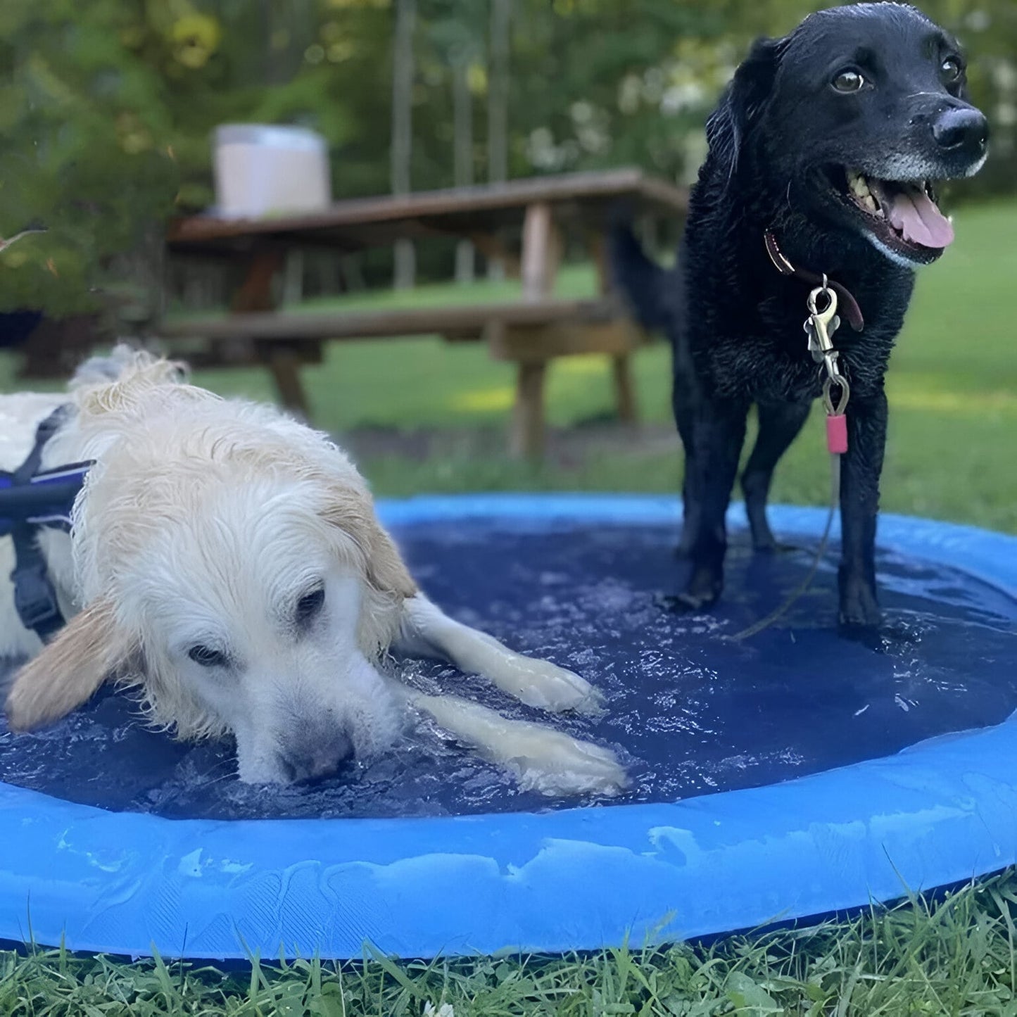 RefreshRipple | Huisdieren Splash Pad