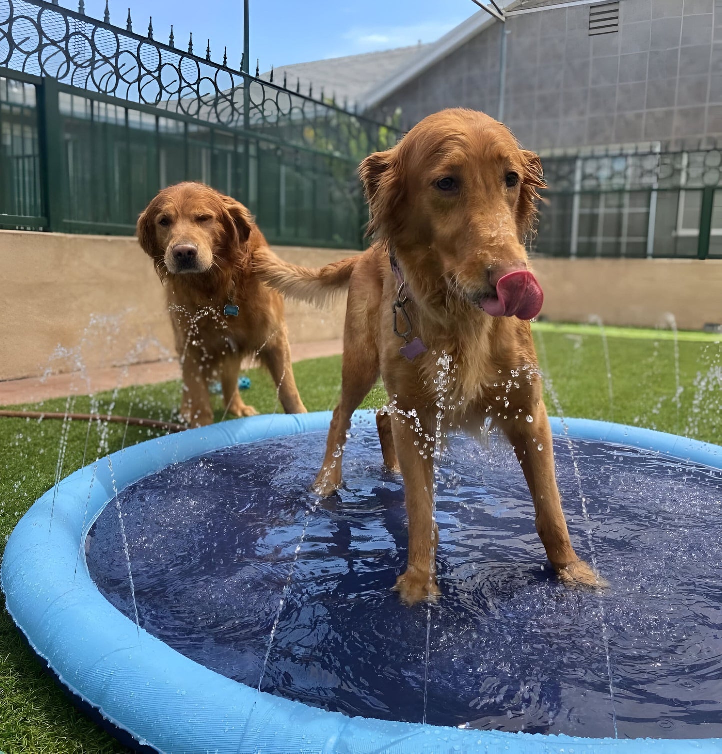 RefreshRipple | Huisdieren Splash Pad